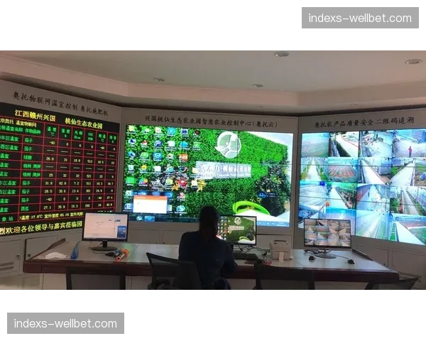 制作预算云端实时监控 赛事运营成本控制更精准